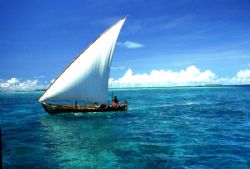 FELLUCA! Cruising toward a balmy off Bandos Island, this ... by Rick Tegeler 